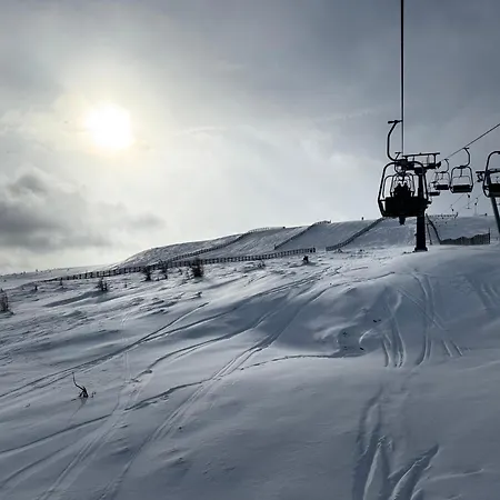 Frühstückspension Solic *